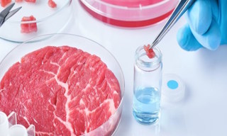 Лабораторный анализ пищевых продуктов по СанПиН в Екатеринбурге в октябре